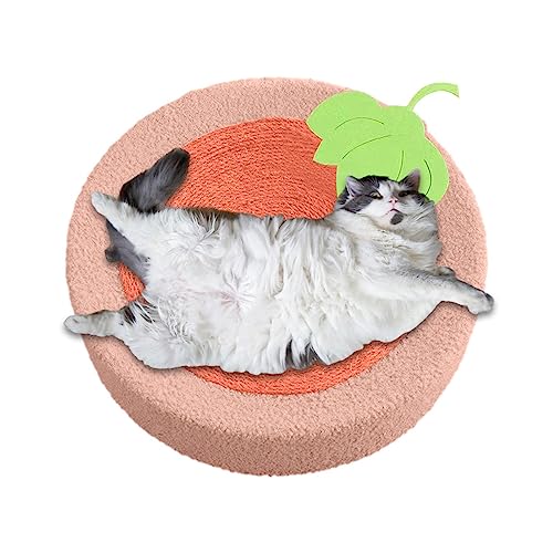Katzenkratzlounge - Katzenkratzbett aus Pappe, Kratz-Lounge-Sofa für Haustiere, große Betten aus Wellpappe, Katzenmöbel für Sofas, Couch, Couch-Bodenspielzeug von Onlynery