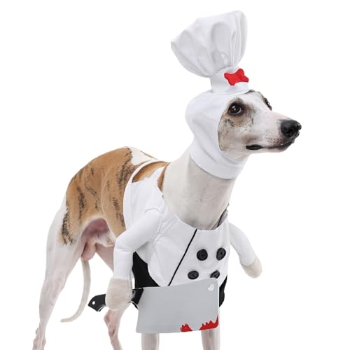 Onlynery Halloween Katzenkleidung | Halloween Katzen Verkleidung,Verstellbare Katzenkostüme Für Kleine Mittelgroße Große Hunde Festlichkeiten Geburtstagspartys Onlynery Halloween Katzenkleidung | Halloween Katzen Verkleidung,Verstellbare Katzenkostüme Für Kleine Mittelgroße Große Hunde Festlichkeiten Geburtstagspartys von Onlynery