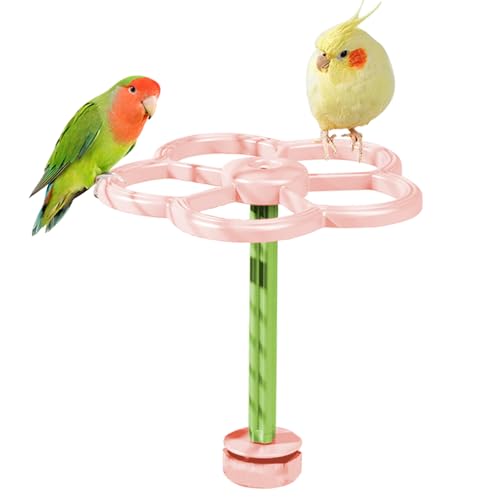 Onlynery Vogel Sitzstangen Für Vogelkäfig, Spielplatz Mit Windmühle Für Vögel, Interaktiver Vogelkäfig Spielstand Für Papageien, Sittiche Und Kanarienvögel Zur Krallenpflege von Onlynery