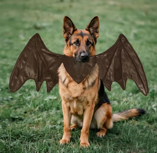Halloween Kostüme für Hunde, Fledermaus Drachen Vogel Flügel Kostüm für große mittlere kleine Hunde (Kaffee Fledermaus Flügel,L Halloween Kostüme für Hunde, Fledermaus Drachen Vogel Flügel Kostüm für große mittlere kleine Hunde (Kaffee Fledermaus Flügel,L von Onmygogo