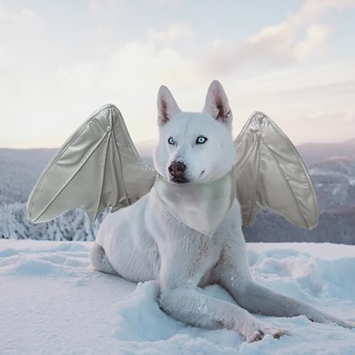 Halloween Kostüme für Hunde, Fledermaus Drachen Vogel Flügel Kostüm für große mittlere kleine Hunde (Silberner Drachenflügel,L) von Onmygogo
