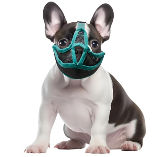 Maulkorb für Hunde, kurze Schnauze, französische Bulldogge, atmungsaktiv, verstellbar, Netzmaske für flaches Gesicht, Netzmaulkörbe für Shih Tzu Mops, englische Bulldogge, Maske gegen Beißen, Kauen, Maulkorb für Hunde, kurze Schnauze, französische Bulldogge, atmungsaktiv, verstellbar, Netzmaske für flaches Gesicht, Netzmaulkörbe für Shih Tzu Mops, englische Bulldogge, Maske gegen Beißen, Kauen, von Onperpoe