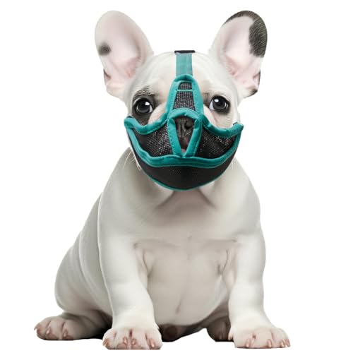 Maulkorb für Hunde, kurze Schnauze, französische Bulldogge, atmungsaktiv, verstellbar, Netzmaske für flaches Gesicht, Netzmaulkörbe für Shih Tzu Mops, englische Bulldogge, Maske gegen Beißen, Kauen, Maulkorb für Hunde, kurze Schnauze, französische Bulldogge, atmungsaktiv, verstellbar, Netzmaske für flaches Gesicht, Netzmaulkörbe für Shih Tzu Mops, englische Bulldogge, Maske gegen Beißen, Kauen, von Onperpoe