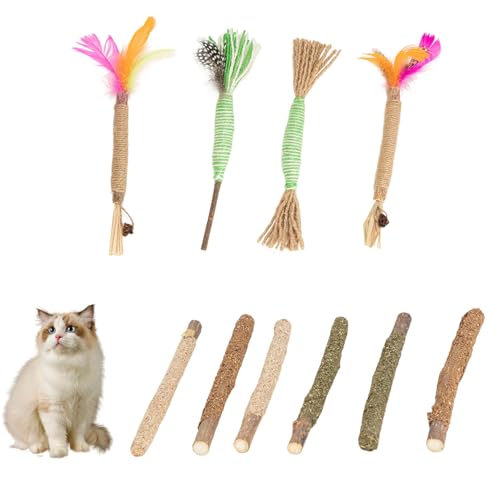 Onperpoe Silvervine Kaustäbe für Katzen, natürliche Katzenkaustäbchen, Katzen-Zahnstäbchen, Katzenminzestäbchen, Katzenkauspielzeug für Katzen-Zahnpflege und Kätzchen-Zahnen, 10 Stück Onperpoe Silvervine Kaustäbe für Katzen, natürliche Katzenkaustäbchen, Katzen-Zahnstäbchen, Katzenminzestäbchen, Katzenkauspielzeug für Katzen-Zahnpflege und Kätzchen-Zahnen, 10 Stück von Onperpoe