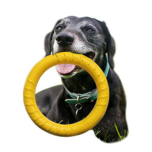 Onsinic Hundespielzeug Gummi-Fetch Fliegenscheiben-Haustier-trainingsball Mit Seil Fetch Flying Discs Kauspielzeug Haustierspielzeug Für Hunde Welpe von Onsinic