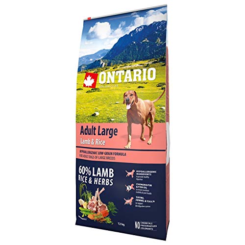 Ontario Futter für Hunde Erwachsene große Tassen Erwachsene Large Lamb, Pavo und Reis - 12 kg von Ontario