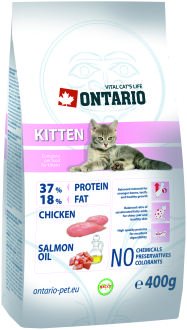 Ontario Kitten von Ontario