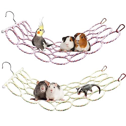 2 Pack Ratten Klettern Spielzeug, Vogelschaukel Spielzeug, Hängende Ratten Seil Netz Spielzeug, Vogelseil Sitzstange Ständer Spielzeug, Papagei Klettern Leiter Brücke Spielzeug, Kleintier Käfig 2 Pack Ratten Klettern Spielzeug, Vogelschaukel Spielzeug, Hängende Ratten Seil Netz Spielzeug, Vogelseil Sitzstange Ständer Spielzeug, Papagei Klettern Leiter Brücke Spielzeug, Kleintier Käfig von Oooct