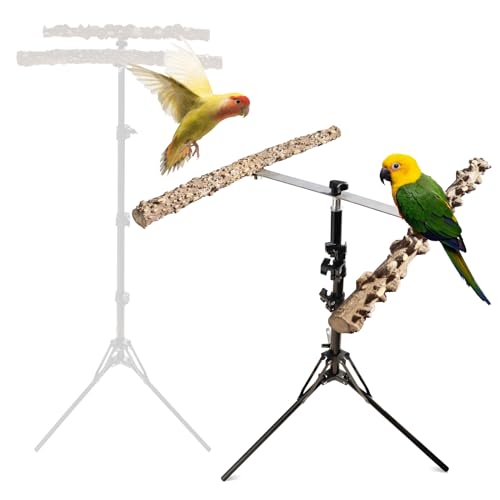 40,6 - 160,6 cm höhenverstellbarer Vogelsitzständer, natürliches Pfefferholz, Papageien-Sitzstange, Vogel-Trainings-Sitzstange, Innen- und Außenbereich, Vogelständer für kleine bis mittelgroße Vögel 40,6 - 160,6 cm höhenverstellbarer Vogelsitzständer, natürliches Pfefferholz, Papageien-Sitzstange, Vogel-Trainings-Sitzstange, Innen- und Außenbereich, Vogelständer für kleine bis mittelgroße Vögel von Oooct
