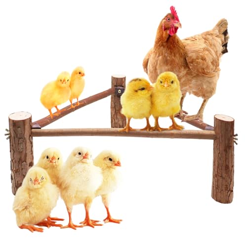 Chicken Barsch für Küken, Holz Küken Spielzeug, Küken Stand Training Barsch Spielzeug, Sitzstange für Hühnerställe und Bruter, Holz Küken Spielzeug Sitzstange für Hühnerstall Junge Vögel von Oooct