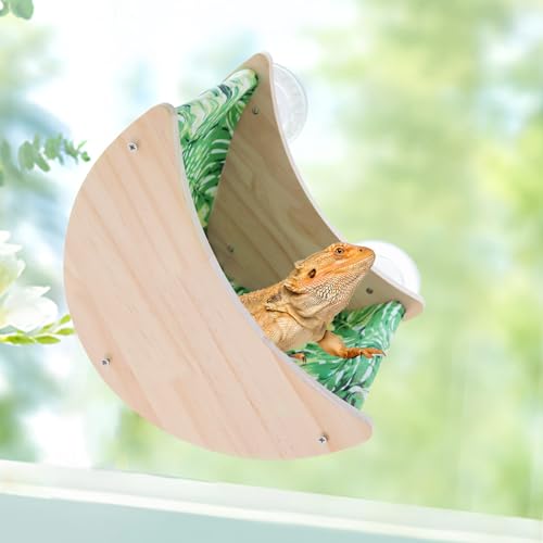 Eidechsen-Fensterbett, Bartdrache, Fenster, Mond, Regale, Sitzstangen mit starken Saugnäpfen, Reptilien-Schlafbett, geeignet für Eidechse, Bartdrache, Chamäleon, Kätzchen, Meerschweinchen, Ratte von Oooct