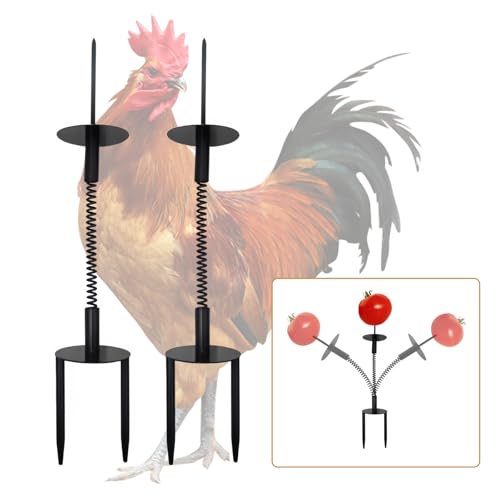 Oooct 2 Pack Chicken Peck Toys Metal Chicken Swing Feeder Chicken Enrichment Toys Chick Slow Feeder Toy Chicken Coop Toys for Hens Geflügel Duck Birds Papageien von Oooct
