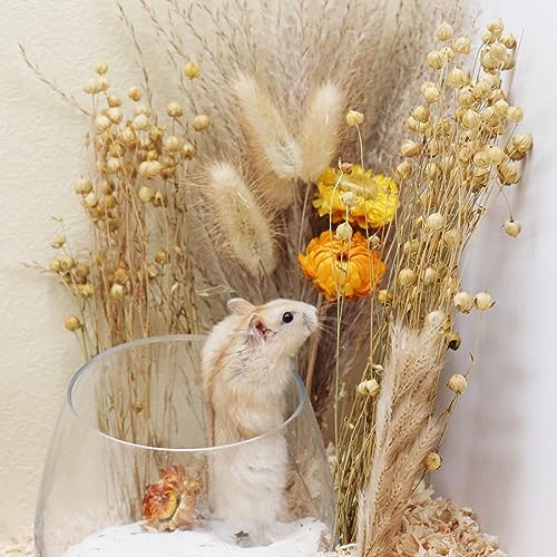 Oooct Hamsterstreu, natürliche Blumen, Kräuter, Getreidekörner Dekor für Hamsterhäuser und Verstecke, Kleintierkäfige und Lebensräume Zubehör, geeignet für Hamster, Ratten, Rennmäuse, Meerschweinchen von Oooct