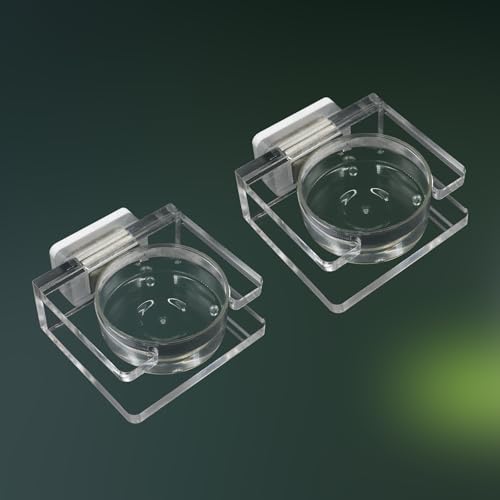 Springende Spinne Futternapf, transparentes Acryl, magnetisch, winzige Vogelspinne, Futternapf, Wassernapf, Springspinnen-Futterspinne, Gehege-Zubehör für Springspinne, Vogelspinne, kleine Spinne, 2 Springende Spinne Futternapf, transparentes Acryl, magnetisch, winzige Vogelspinne, Futternapf, Wassernapf, Springspinnen-Futterspinne, Gehege-Zubehör für Springspinne, Vogelspinne, kleine Spinne, 2 von Oooct