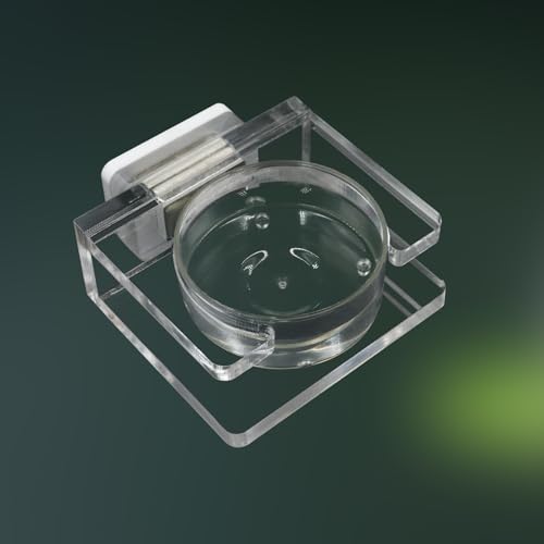 Springende Spinne Futternapf, transparentes Acryl, magnetisch, winzige Vogelspinne, Futternapf, Wassernapf, Springspinnen-Futterspinne, Gehege-Zubehör für springende Spinne, Vogelspinne, kleine Springende Spinne Futternapf, transparentes Acryl, magnetisch, winzige Vogelspinne, Futternapf, Wassernapf, Springspinnen-Futterspinne, Gehege-Zubehör für springende Spinne, Vogelspinne, kleine von Oooct