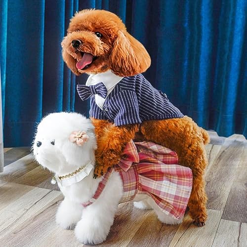 Männliche Hundesimulation Paarung Spielzeug, Hunde Interaktives Schlafspielzeug, Plüsch -Puppenbraut für männliche Hunde Angst Erleichterung Entlüftungsspielzeug für Estrus Hund 18cm/7.1in Männliche Hundesimulation Paarung Spielzeug, Hunde Interaktives Schlafspielzeug, Plüsch -Puppenbraut für männliche Hunde Angst Erleichterung Entlüftungsspielzeug für Estrus Hund 18cm/7.1in von Opaeroo