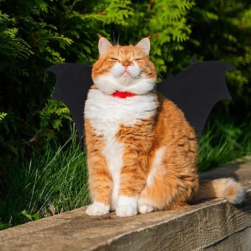 Opdestn Hundekostüm,Fledermausflügel Kostüm Für Halloween - Festliches Outfit Party Verkleidung Für Haustier Dress Up Veranstaltungsklub Outdoor von Opdestn
