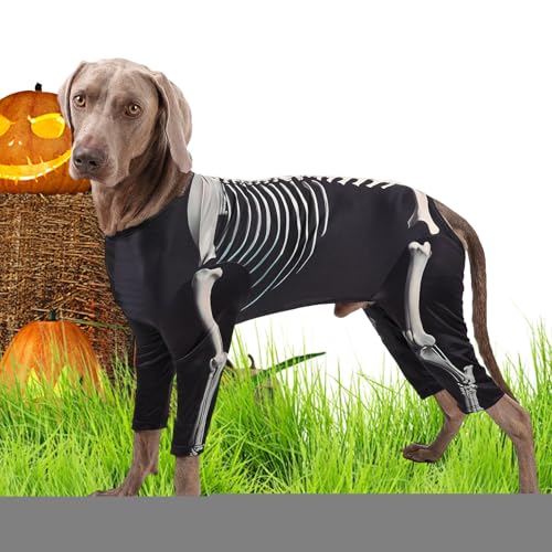Opdestn Kleines Hundekostüm | Skelett Hundekleidung,Welpen Body Haustier Halloween Kleidung für Verschiedene Anlässe wie Cosplay, Urlaub, Reisen, täglichen Einsatz, Outdoor, Zuhause, Feiern und Fotos von Opdestn