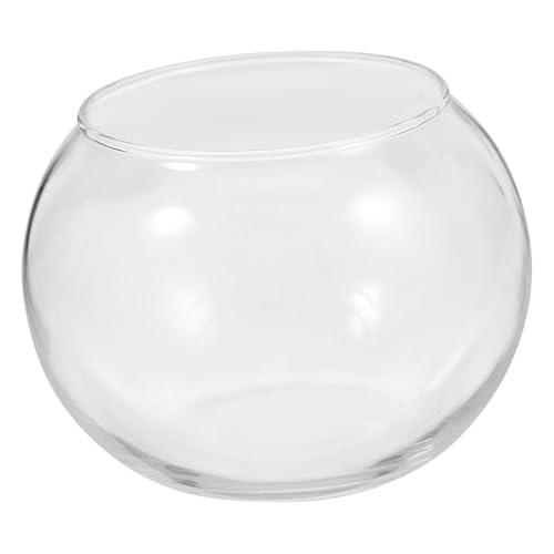 Operitacx 2st Mikroglasflasche Im Querformat Kleines Aquarium Ökologische Flasche Glasvase DIY-Kits Wandtöpfe Für Terrarien Fischglas Aus Kunststoff Sukkulenten Wandvase Büro Pflanze Muschel von Operitacx