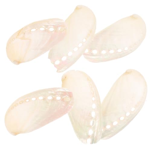 Operitacx 6 Stück Teiliges Perlmutt Abalone Muscheln Natürliche Deko für Strandhochzeit DIY Basteln Aquarium Dekoration Tischdeko Vielseitig Einsetzbar von Operitacx