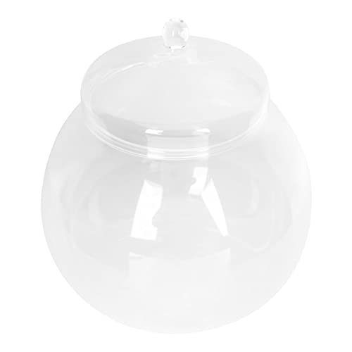 Operitacx Glasbehälter, Glasbehälter, Glasblasenschale mit Deckel, Fischglasvase, runde Glasschale, Terrarium, Globus-Blumenvase, Tafelaufsatz, 15 cm, transparenter Behälter, extra großes Operitacx Glasbehälter, Glasbehälter, Glasblasenschale mit Deckel, Fischglasvase, runde Glasschale, Terrarium, Globus-Blumenvase, Tafelaufsatz, 15 cm, transparenter Behälter, extra großes von Operitacx