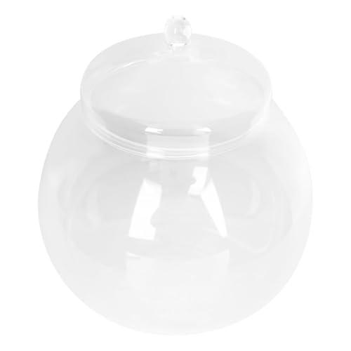 Glas Terrarium Container Mit Deckel - 15 cm Ø, 18 cm HöHe, Mundgeblasenes Kristallklares Glas FüR DIY Pflanzen Deko, Ideal FüR Hochzeiten Und Zuhause von Operitacx