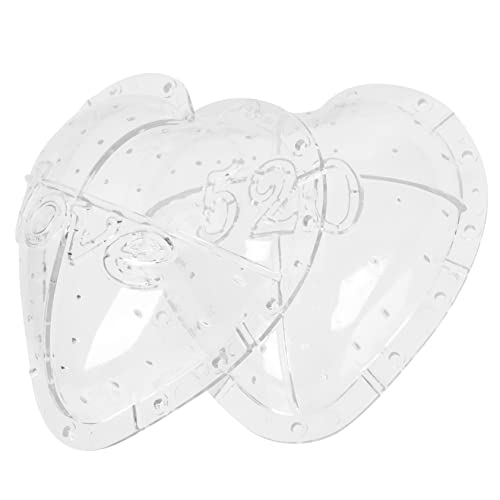 Operitacx Herzform Wassermelonenform Transparentes PC Werkzeug Zur Gestaltung Für Gartenanbau Und Präsentationen Für Partys Und Familienfeiern von Operitacx