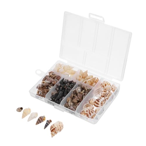 Operitacx Natürliche Muschelschalen-dekore Für Aquarium Landschaftsdekore Und Aquarienschmuck Muschelschalen-Verzierungen Für Heimdekoration Und Fisch Tank Schmuck Operitacx Natürliche Muschelschalen-dekore Für Aquarium Landschaftsdekore Und Aquarienschmuck Muschelschalen-Verzierungen Für Heimdekoration Und Fisch Tank Schmuck von Operitacx