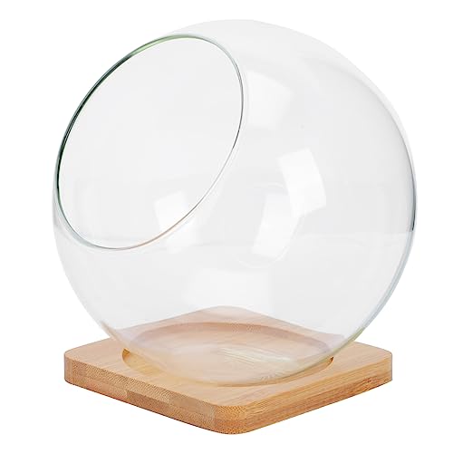 Operitacx Sukkulenten-Terrarium, Terrarium, Glas, Mikro-Landschaftsflaschen, runde Vase, Tafelaufsatz, Terrariumkugel, 13,5 cm, Terrarienglas, hängender Glas-Pflanzgefäß von Operitacx
