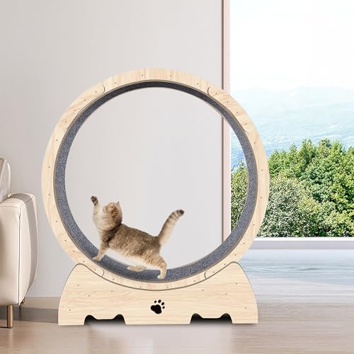 Opetdo Laufrad für Katzen, 93x 40x104cm Laufband für Katzen, Super Leises Haustier Katze Laufrad Spielzeug, Fitnessgerät zur Gewichtsabnahme, Sportspielzeug für Katzen, für EIN längeres Leben der Katz Opetdo Laufrad für Katzen, 93x 40x104cm Laufband für Katzen, Super Leises Haustier Katze Laufrad Spielzeug, Fitnessgerät zur Gewichtsabnahme, Sportspielzeug für Katzen, für EIN längeres Leben der Katz von Opetdo