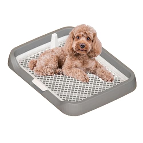 Hundetöpfchen-Tablett – Hundetöpfchen-Tablett mit Netzgittern, wiederverwendbarer Haustier-Töpfchenhalter | Indoor-Toiletten-Welpen-Pee, PP-Hundetraining, Toiletten-Töpfchen-Training, Pee-Pad-Halter f Hundetöpfchen-Tablett – Hundetöpfchen-Tablett mit Netzgittern, wiederverwendbarer Haustier-Töpfchenhalter | Indoor-Toiletten-Welpen-Pee, PP-Hundetraining, Toiletten-Töpfchen-Training, Pee-Pad-Halter f von Opilroyn