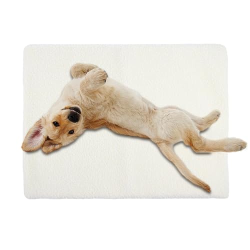 Opilroyn Warme Haustierdecke, selbstheizende Plüsch-Hundedecke, multifunktional, feuchtigkeitsbeständig, multifunktionale Haustierdecke für , Winter Opilroyn Warme Haustierdecke, selbstheizende Plüsch-Hundedecke, multifunktional, feuchtigkeitsbeständig, multifunktionale Haustierdecke für , Winter von Opilroyn