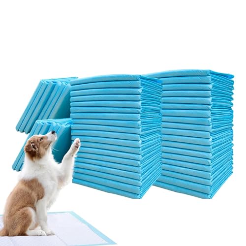 Pinkelpads für Welpen, Pinkelpads für Hunde,Große Hunde-Pipi-Pads - Super saugfähige Haustierwindel, verdickte Windeleinlagen für Katzen und Hunde, schnell trocknende Oberflächenmatte, Hundetrainings- Pinkelpads für Welpen, Pinkelpads für Hunde,Große Hunde-Pipi-Pads - Super saugfähige Haustierwindel, verdickte Windeleinlagen für Katzen und Hunde, schnell trocknende Oberflächenmatte, Hundetrainings- von Opilroyn