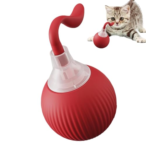 Rolling 80 Mah Bewegungsaktivierter Ball Spielzeug, 5V 1A Automatisch Beweglicher Ball Katzenspielzeug Ball, Wiederaufladbares Haustierspielzeug Rollball Haustierball Automatische Katze Amüsanter Ball Rolling 80 Mah Bewegungsaktivierter Ball Spielzeug, 5V 1A Automatisch Beweglicher Ball Katzenspielzeug Ball, Wiederaufladbares Haustierspielzeug Rollball Haustierball Automatische Katze Amüsanter Ball von Opilroyn