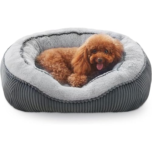 Waschbares Hundebett, Bett für kleine Hunde, Katzen und Hunde, waschbar, weicher und beruhigender Schlaf, warmer und rutschfester Boden, geeignet für warmes Nest für Haustiere Waschbares Hundebett, Bett für kleine Hunde, Katzen und Hunde, waschbar, weicher und beruhigender Schlaf, warmer und rutschfester Boden, geeignet für warmes Nest für Haustiere von Opilroyn