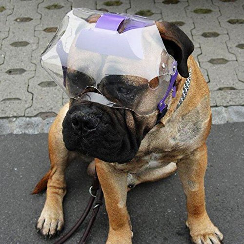Optivizor Augen- und Gesichtsschutz für Hunde mit kurzer Schnauze, Größe XL 100+ kg, Kopfumfang 24 cm von Optivizor