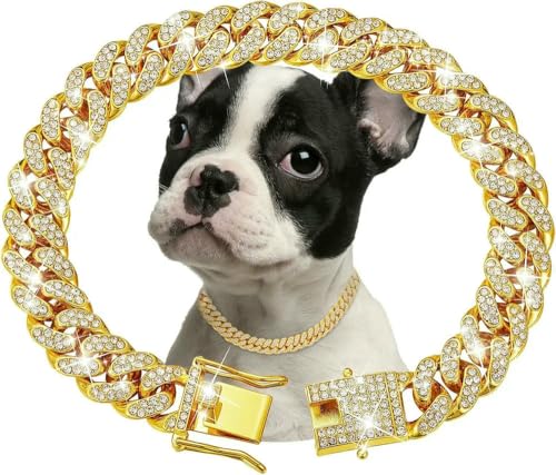Hundehalsband mit Kette, Luxus-Halsband aus goldenem Metall für kleine, mittelgroße und große Hunde, Katzen, Haustierschmuck, Halskette, Zubehör Hundehalsband mit Kette, Luxus-Halsband aus goldenem Metall für kleine, mittelgroße und große Hunde, Katzen, Haustierschmuck, Halskette, Zubehör von Optxzn