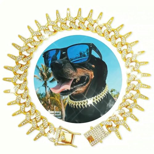 Personalisierte Hundehalsbänder für kleine, mittelgroße und große Hunde, Katzen, Goldkette, Diamant-Kuba-Halsband mit Design, sichere Schnalle, Haustier-Halskette Personalisierte Hundehalsbänder für kleine, mittelgroße und große Hunde, Katzen, Goldkette, Diamant-Kuba-Halsband mit Design, sichere Schnalle, Haustier-Halskette von Optxzn