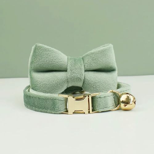 Samt Katzenhalsband Bowknot Personalisiertes Halsband für Katzen Katzenbedarf Katzenhalsbandgürtel mit Glöckchen und Schleife Samt Katzenhalsband Bowknot Personalisiertes Halsband für Katzen Katzenbedarf Katzenhalsbandgürtel mit Glöckchen und Schleife von Optxzn
