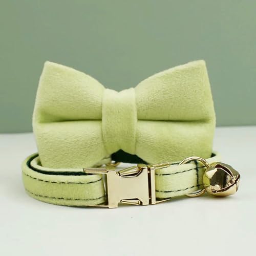 Samt Katzenhalsband Bowknot Personalisiertes Halsband für Katzen Katzenbedarf Katzenhalsbandgürtel mit Glöckchen und Schleife Samt Katzenhalsband Bowknot Personalisiertes Halsband für Katzen Katzenbedarf Katzenhalsbandgürtel mit Glöckchen und Schleife von Optxzn