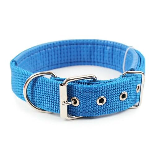 Solide Hundehalsbänder Nylon Hundehalsband für kleine mittelgroße Hunde Teddy Keji Pitbull Bulldog Beagle Solide Hundehalsbänder Nylon Hundehalsband für kleine mittelgroße Hunde Teddy Keji Pitbull Bulldog Beagle von Optxzn