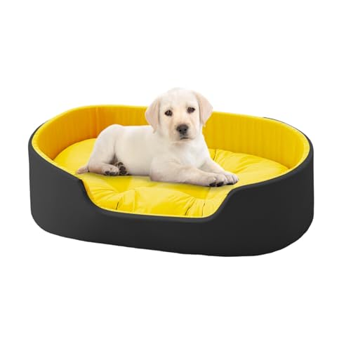 Creative Dog Couch Bed, Comfortable Dog Sleeping Pad, Double Sided Cat Cushion, Pet Accessories for Dogs, Four Seasons Pet Bed, Cozy Dog Couch for Large Dogs, Small Dog Couch Bed, Multi-Use Cat Sleepi Creative Dog Couch Bed, Comfortable Dog Sleeping Pad, Double Sided Cat Cushion, Pet Accessories for Dogs, Four Seasons Pet Bed, Cozy Dog Couch for Large Dogs, Small Dog Couch Bed, Multi-Use Cat Sleepi von Opvonxeh