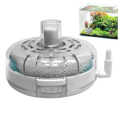 Fish Tank Mini-Filter, Aquarienfilter, 3,15 x 3,15 x 2,17 Zoll Pump-Filtersystem, Advanced Aerator für Terrarium, Pond Turtle Saltwater Breeding und Freshwater Environments Fish Tank Mini-Filter, Aquarienfilter, 3,15 x 3,15 x 2,17 Zoll Pump-Filtersystem, Advanced Aerator für Terrarium, Pond Turtle Saltwater Breeding und Freshwater Environments von Opvonxeh