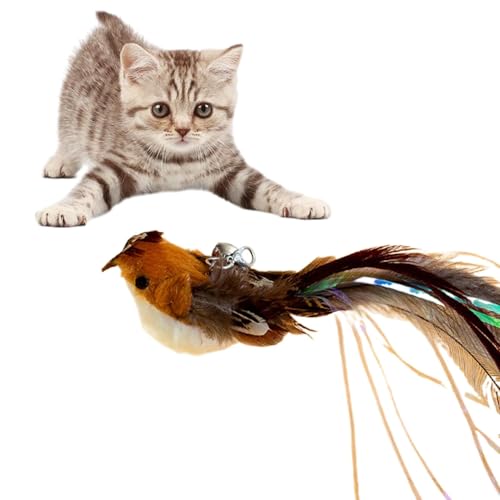 Nachfüllpackung für Katzenspielzeug, Ersatz für Katzenspielzeug | Ersatzkopf für Federteaser, interaktives Katzenspielzeug für Zuhause, Outdoor, Appartem Nachfüllpackung für Katzenspielzeug, Ersatz für Katzenspielzeug | Ersatzkopf für Federteaser, interaktives Katzenspielzeug für Zuhause, Outdoor, Appartem von Opvonxeh