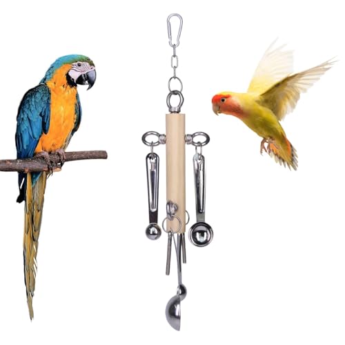 Parrot Spielzeuge, Cockatiel Pull Spoon Toys, interaktives Kaugummi für Vögel, Chew Toys für afrikanische Grau, pädagogisches Puzzle-Spielzeug für, Vogelkauspielzeug, Vogelspielzeug für Parrot Spielzeuge, Cockatiel Pull Spoon Toys, interaktives Kaugummi für Vögel, Chew Toys für afrikanische Grau, pädagogisches Puzzle-Spielzeug für, Vogelkauspielzeug, Vogelspielzeug für von Opvonxeh