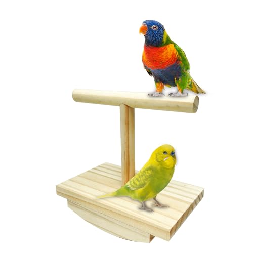 Sitzstange für Vögel – Zubehör für Käfig | Ruhestation & Spiel Interaktive Schaukel Training für Tiere – Büro Außen von Opvonxeh