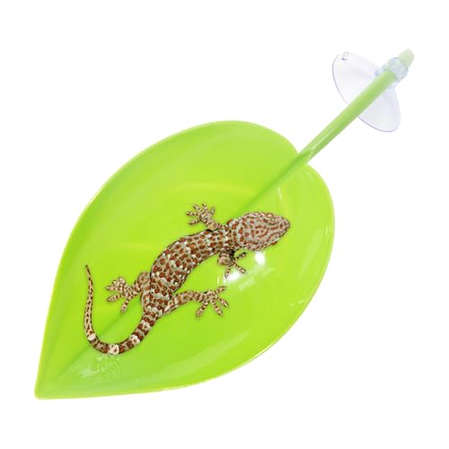 Turtle Leaf Basking Resting Terrace with Suction Cups, Leaf-Shaped Tank Accessory for Dwarf Frogs, Leopard Geckos, and Toads Turtle Leaf Basking Resting Terrace with Suction Cups, Leaf-Shaped Tank Accessory for Dwarf Frogs, Leopard Geckos, and Toads von Opvonxeh