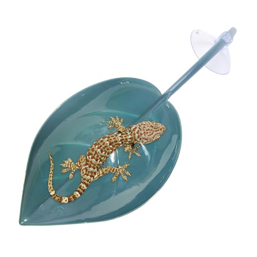 Turtle Leaf Basking Resting Terrace with Suction Cups, Leaf-Shaped Tank Accessory for Dwarf Frogs, Leopard Geckos, and Toads​ von Opvonxeh