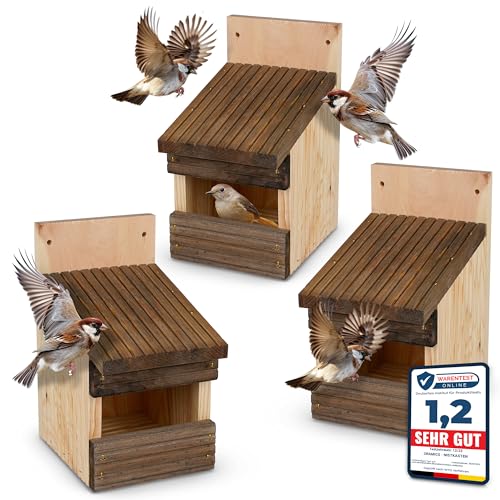 3 Stück Oramics Halbhöhlen Nistkasten zum Aufhängen für Garten, Balkon und Terrasse - Vogelhaus für Wildvögel und Gartenvögel – Nisthaus wetterfest für draußen, ideal für Vögel Aller Art 3 Stück Oramics Halbhöhlen Nistkasten zum Aufhängen für Garten, Balkon und Terrasse - Vogelhaus für Wildvögel und Gartenvögel – Nisthaus wetterfest für draußen, ideal für Vögel Aller Art von Oramics