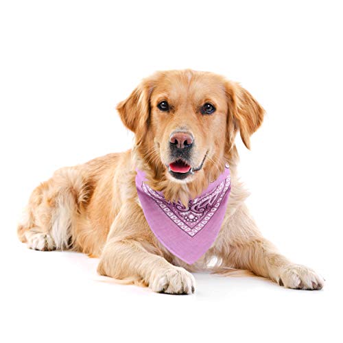 Oramics Hundehalstuch Baumwolle Gemustert verstellbar zum Binden - Hunde Bandana 54x54 cm auch als Dreieckstuch 54x54x76cm - Halstuch Schal als Kälteschutz und modisches Schmuck Tuch (Rosa) von Oramics